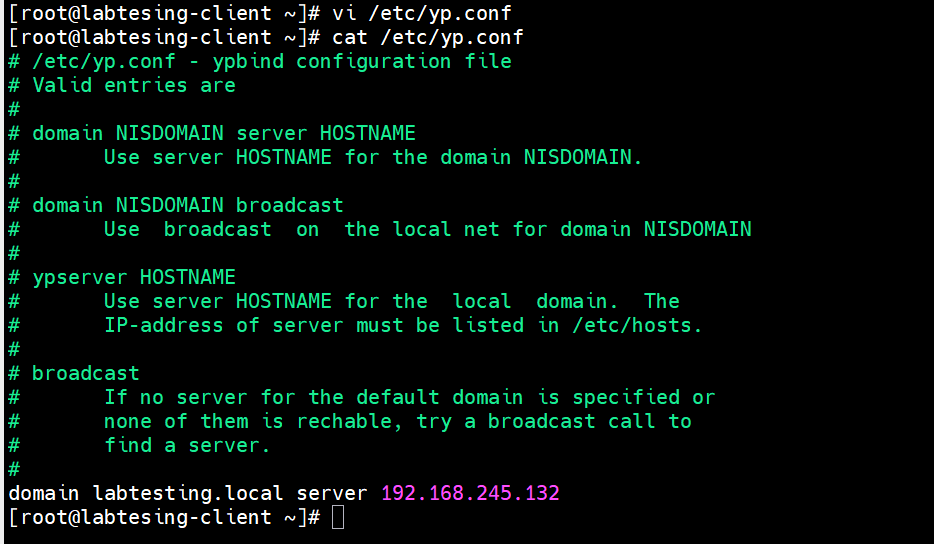 Figure 19 - Client domain