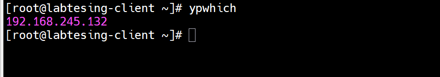 Figure 27 - ypwhich