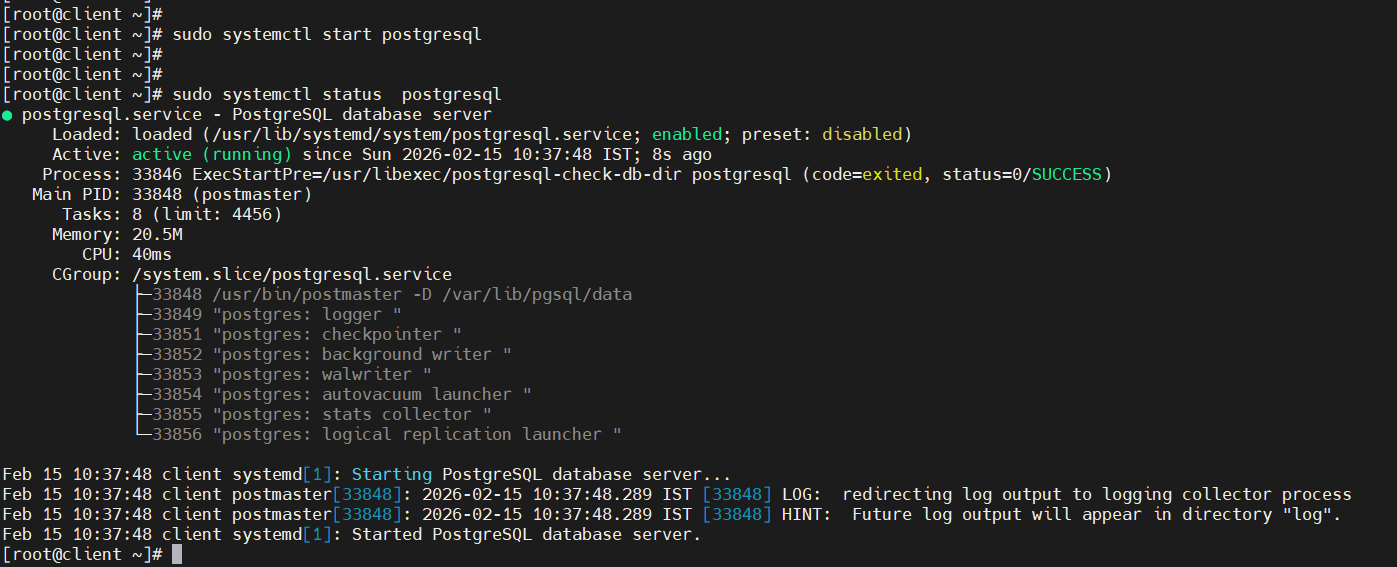 PostgreSQL status