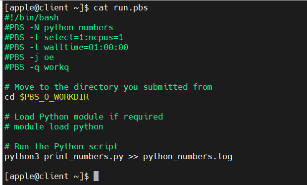 PBS job script