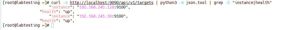 Prometheus targets showing health up