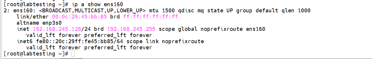 Step 1.1 — static IP confirmation (ip a show ens160)