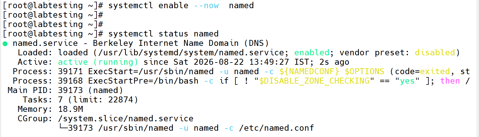 Step 3.3 — makedns -n output and dig/nslookup test