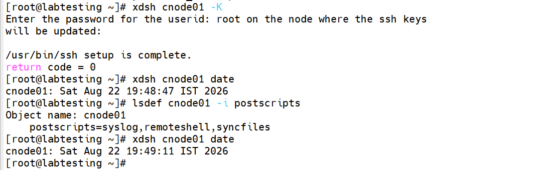 Step 6.1 — successful xdsh cnode01 date output