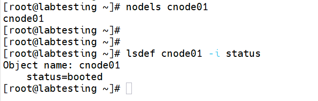 Step 6.2 — nodels and status output