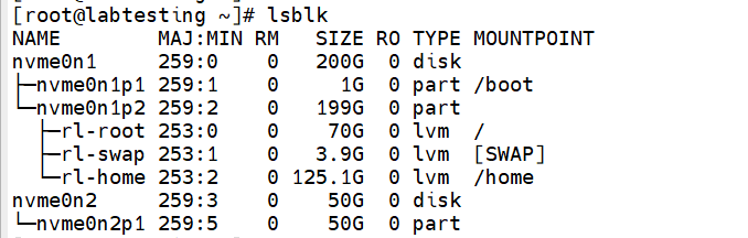 Step 1.2 — lsblk showing nvme0n2p1 partition created