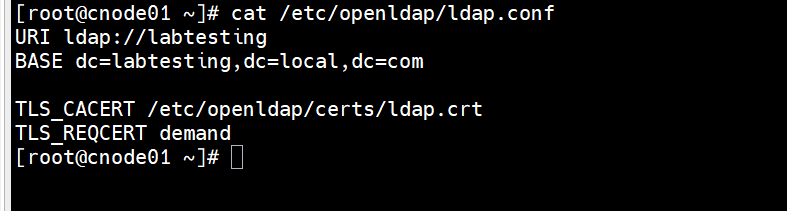 Step 19 — cat /etc/openldap/ldap.conf