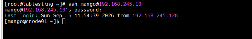 Step 25 — SSH login as mango succeeding