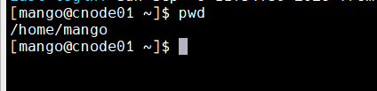 Step 26 — pwd confirming /home/mango created
