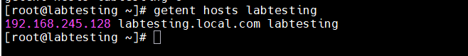 Step 6 — getent hosts labtesting