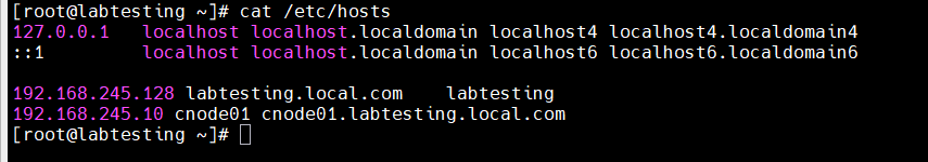 Step 6 — adding labtesting to /etc/hosts