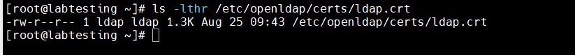 Step 7 — original ldap.crt on the master