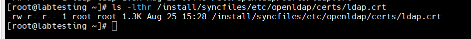 Step 7 — certificate present under xCAT syncfiles