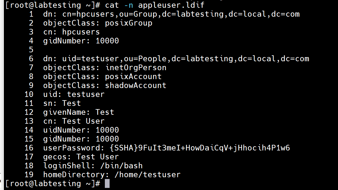 Step 3.7 — ldapadd confirming hpcusers group and testuser created