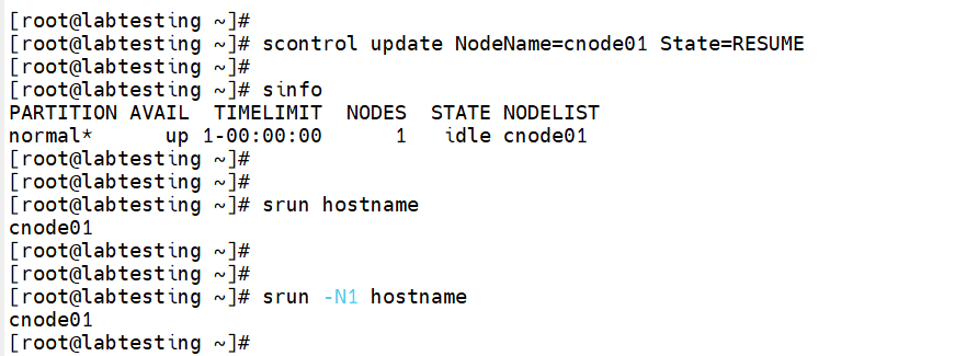 Step 5.3 — srun -N1 hostname returning cnode01