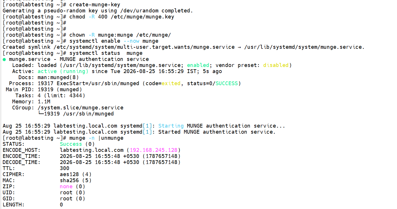 Step 1.1 — munge -n | unmunge on master