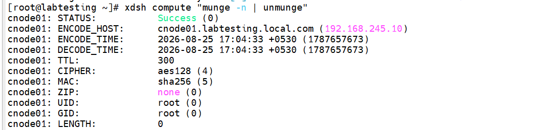 Step 1.4 — successful cross-node munge -n | ssh cnode01 unmunge